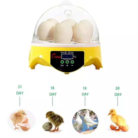 Incubator 7 Eggs Digital Bird Chicken Duck Goose Quail incubator family gift