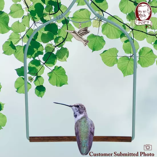 Charm Hummingbird Swing Teal - Perfect Bird Perch for Small Wild Birds, Hummingb