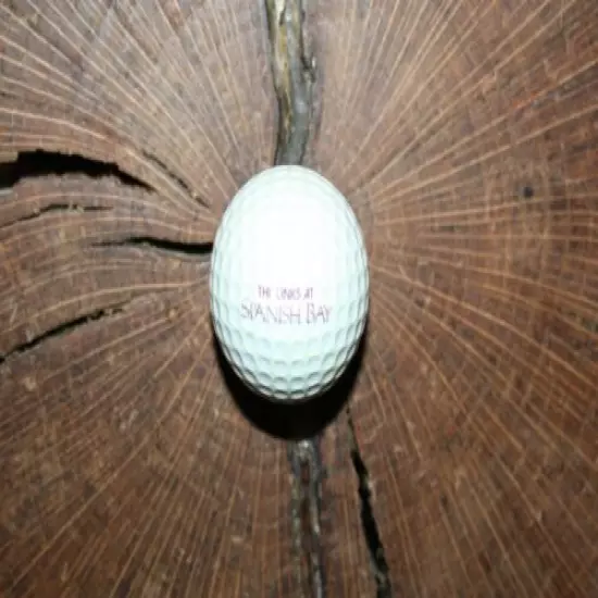 VINTAGE PLUM AND WHITE PING GOLF BALL MUST SEE!!! SPANISH BAY LOGO