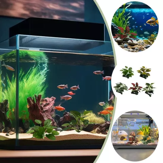 Dead-wood Fish Tank Simulation Water Plant Decoration Simulation Wate