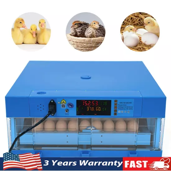 64 eggs 110V 12V chicken duck goose incubator Fully automatic dual power supply