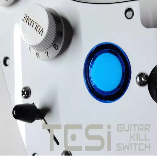 Tesi Switch DITO 24mm Arcade Button Guitar Kill Switch - 25 Colors Available!