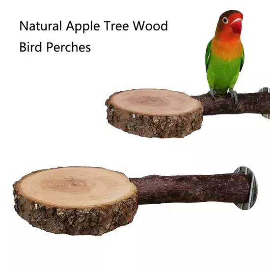 Natural Tree Wood Pet Parrot Wood Fork Tree Branch Stand Rack Squirrel9304