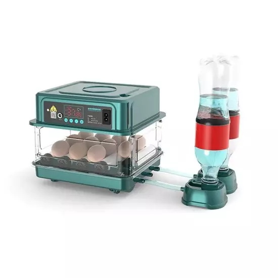 10 Egg Incubator (for Chickens, Birds and Quail) Automatic Incubation Equipment