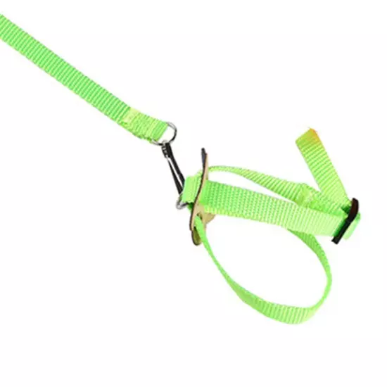 Parrot Bird Harness Leash Adjustable Training Rope Flying Traction Straps Band.