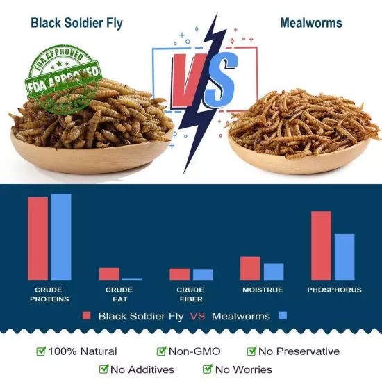 EUCHIRUS Natural Dried 24lbs Soldier Fly Larvae Seed 85x Calcium Than Mealworms