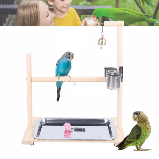 Parrot Playstand Bird Playground Perch Gym Training Stand Toys with Feeder Cup