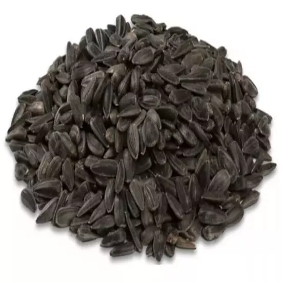 Black Oil Sunflower Wild Bird Food 20 or 40 LBS