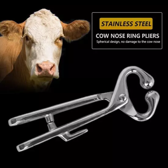 Cattle Nose Livestock Stainless Steel Livestock Bull Cow Nose Lead Cattle4593