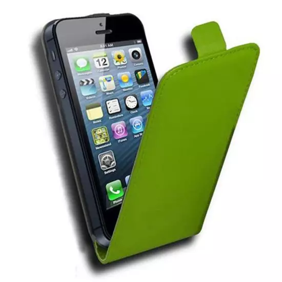 Case for Apple iPhone 5 / 5S / SE 2016 Protection Cover Flip Magnetic Smooth