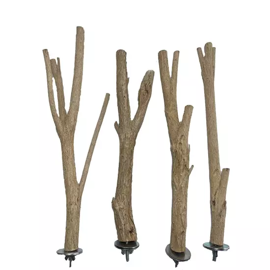 Birds LOVE Medium Bottlebrush Wood Cage Perch Pack of 1