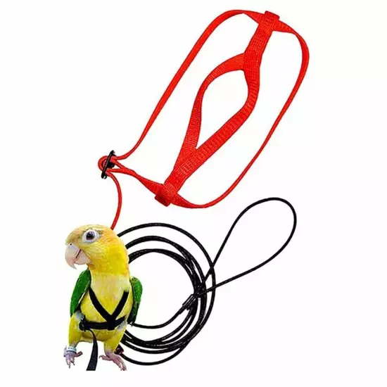 Parrot Bird Harness Leash Adjustable Training Rope Flying Traction Straps Band.