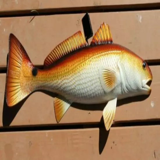 CCA Tournament Memorabilia Redfish Trophy Mount, Ultra-Realistic, Large 28 inch