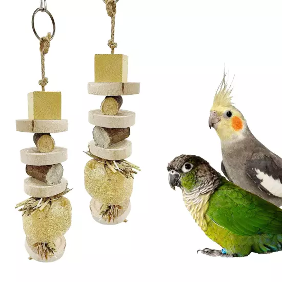 12 inch Set of 2 Pcs Natural Luffa Chewing Toy for Budgies, Lovebirds Cockatiels