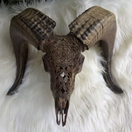 Huge Ram Longhorn Goat Skull Ram Skull head Flower Carving Unique Mandala Design