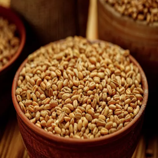 Hulled Barley Grain – 100% Whole Grain, Vegan, Great for Home Baking, Brewing