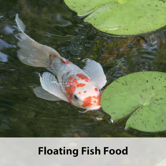 Koi's Choice Koi Floating Fish Food, 10 Pound | FREE SHIPPING |