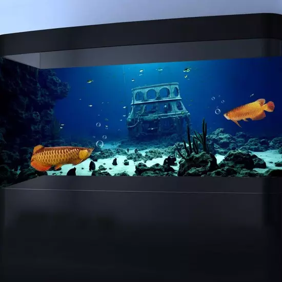 30X18IN Natural Underwater Aquarium Background, Pictures 3D Fish Reef Fish Ta...