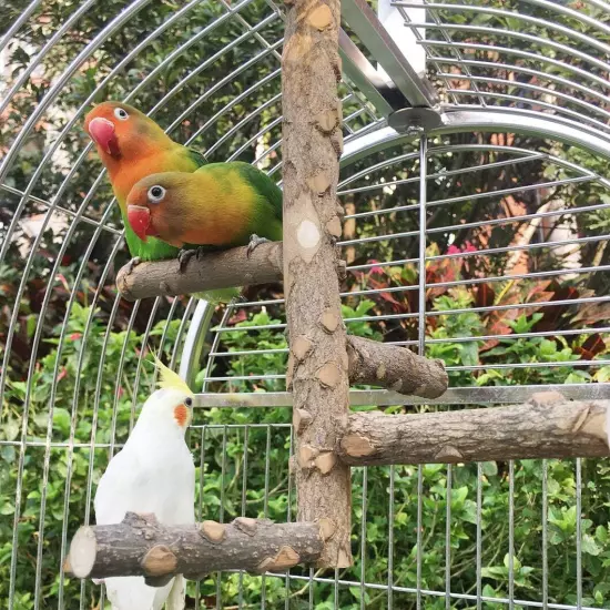 Bird Perch Nature Wood Stand for 3-4pcs Small Medium Parrots (S) Brown 