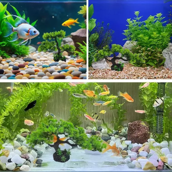 1* Artificial Fish Tank Simulation Water Plan U8R5