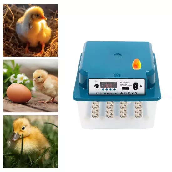 Automatic 16 Eggs Incubator Brooding Machine for Hatching Eggs Chicken Quail NEW