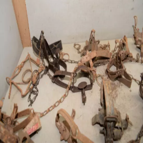 20 vintage traps collectible trappers tool cabin rustic display lot T2