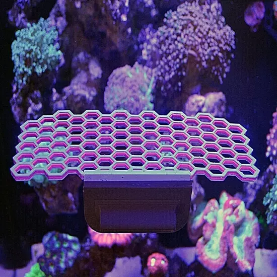 Magnetic FRAG STATION HUB Reef plug holder live coral reef saltwater aquarium