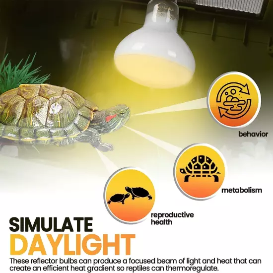 4-Pack Reptile Heat Lamp Bulbs 50W UVA Daylight Basking Light Bulbs for Reptiles