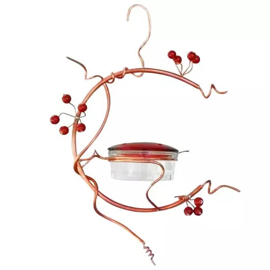 Bowl Shape Courtyard Bird Feeder Red Berries Hummingbird Feeder +Feeder Hook New