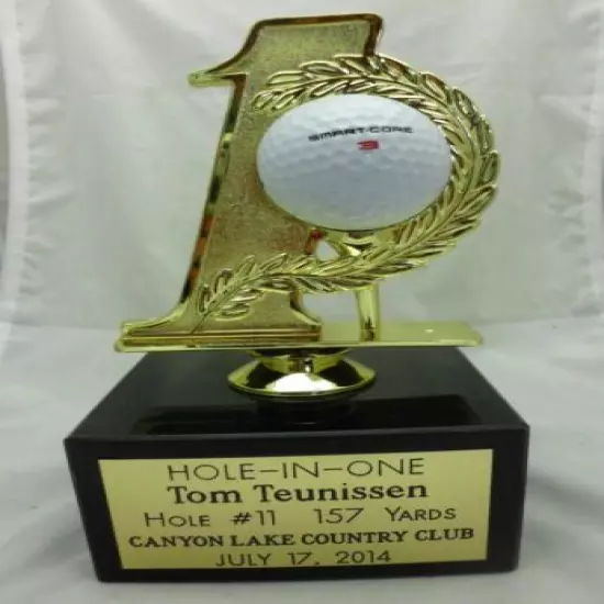 HOLE IN ONE GOLF TROPHY AWARD PLAQUE HOLDS GOLF BALL FREE ENGRAVING free ship