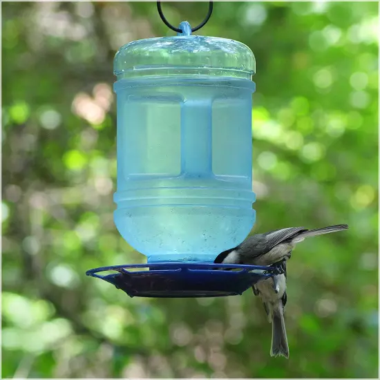 780 Outdoor Hanging Water Cooler Bird Waterer and Dispenser,Blue, 1.5 Qt Capacit