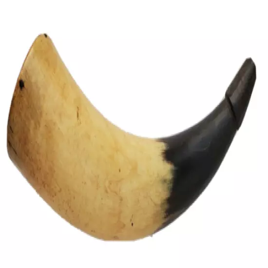 POWDER HORN-9 1/2" BLACK POWDER HORN w/ INITIALS HB-FREE USA SHIP