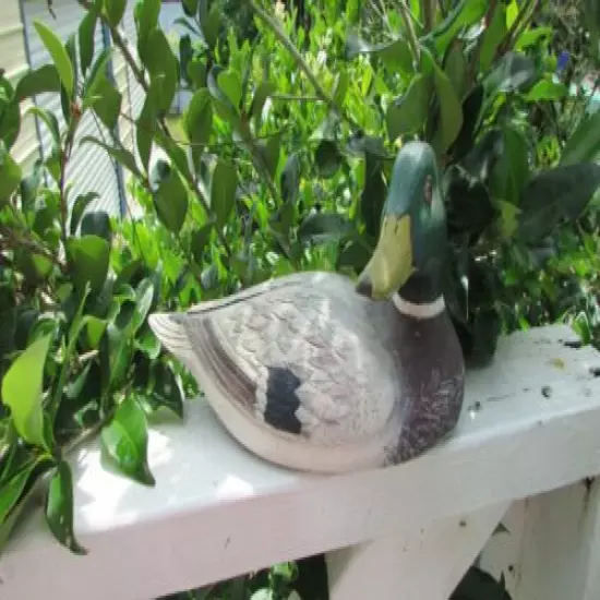 BEAUTIFULLY HAND CARVED AND PAINTED PENN. ARTIST MALLARD DRAKE DUCK DECOY 