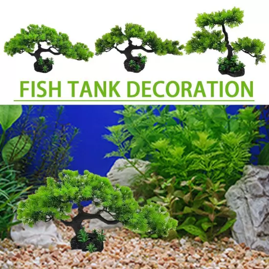 1* Artificial Fish Tank Simulation Water Plan X4Y9