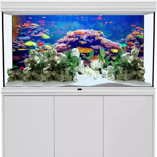 Undersea Theme Aquarium Background 36X18 Inches Polyester Background Colorful Co