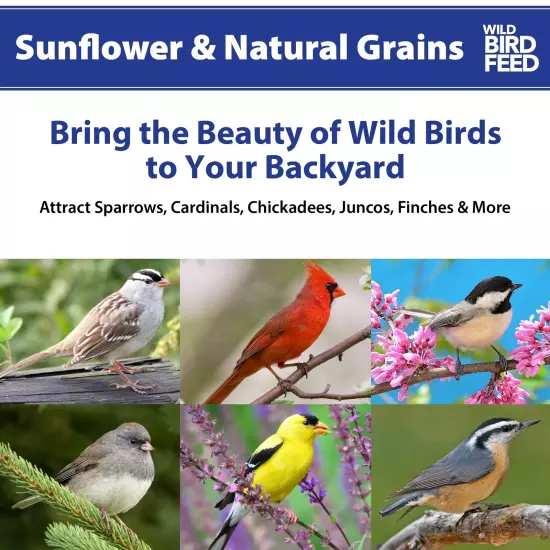 Sunflower & Grains Wild Bird Feed, Dry, 1 Count per Pack, 5 Lb. Bag