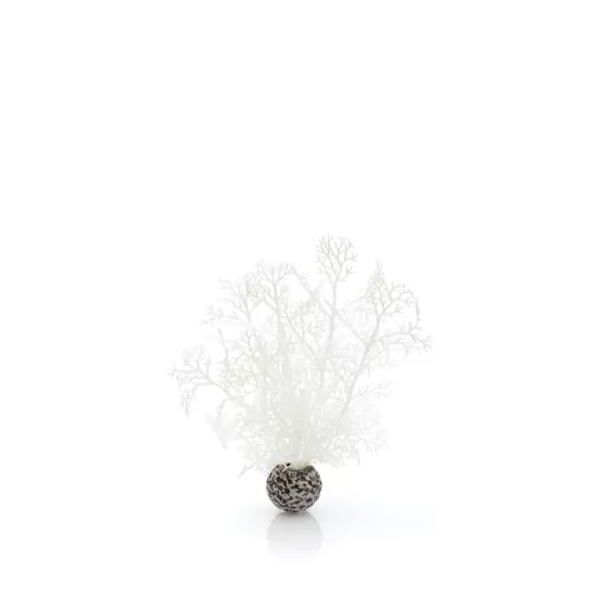 Sea Fan Small White