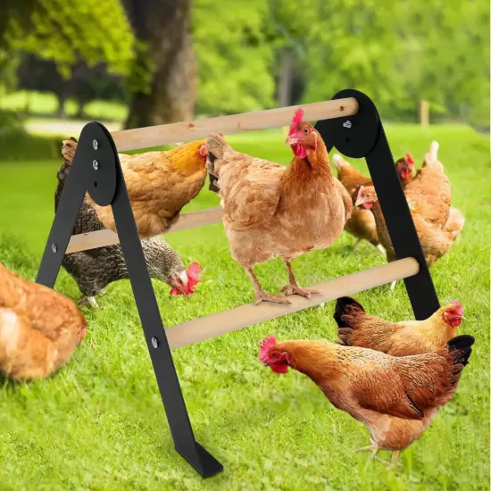 Wooden Chicken Roosting Perch, Metal and Wooden Training Hen Roosting Bars St...