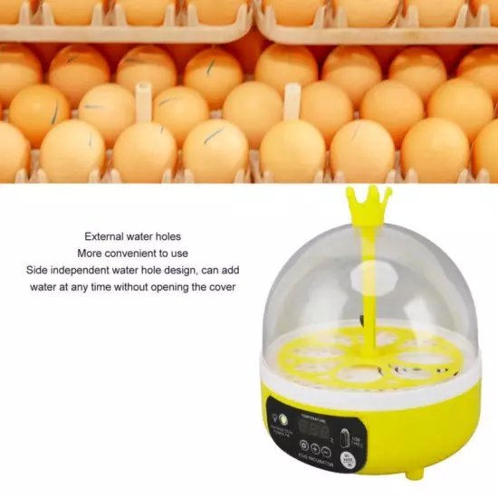 Automatic Egg Incubator Mini 4 Egg Temperature Humidity Control Auto Turner