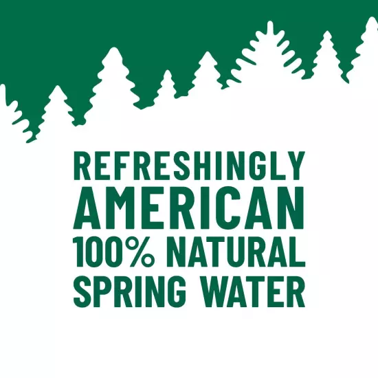 , 100% Natural Spring Water, 900 mL, Recycled Plastic Bottle, 30.4 Fl Oz (Pac...