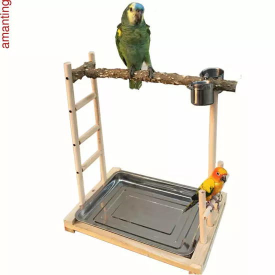 Parrot Wood Stand Game Playing Stick Frame Stick Frame Bird Training Tree Toy 