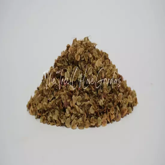 Patience Dock Seed | Rumex Patientia