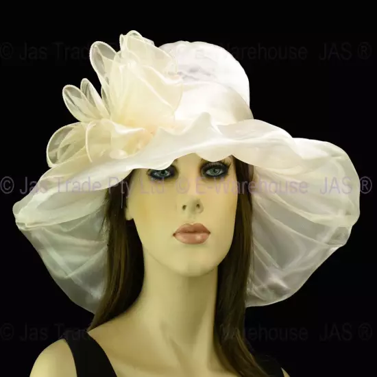 Spring Race Carnival Derby Day Church Wedding Women Ladies Organza Evening Hat