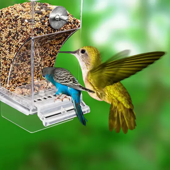 Bird Automatic Feeder Splash Proof Bird Feeder Bird Cage Accessories Bird Food