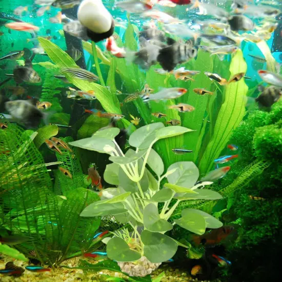 Artificial Fake Plastic Water Grass Plants For FishTank Ornaments Aquarium Y8M1