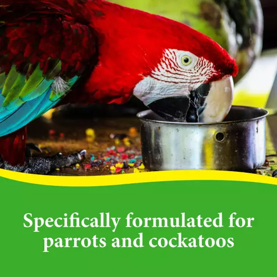 3-D Pet Products Premium Parrot Bird Food Seeds, with Probiotics, 8 lb. Bag