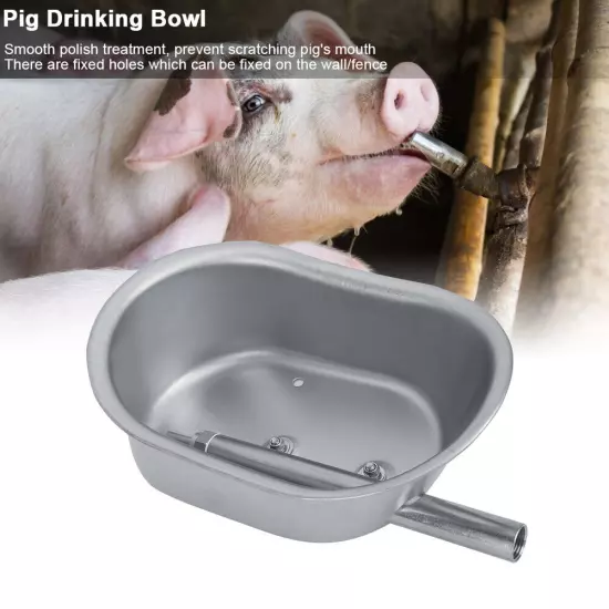 Stainless Steel Piglets Farm Livestock Pig Feeding Drinking Water Bowl Access US