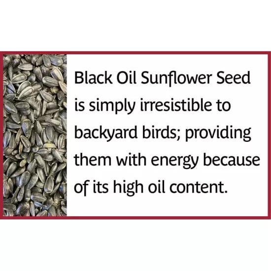 Pennington Select Black Oil Sunflower Seed Wild Bird Feed 10, 20 & 40 Lb Bag USA