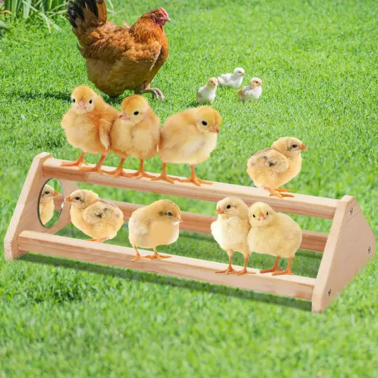 Chick Perch with Mirror, Solid Wooden Thicken Rooster Perch for Coop