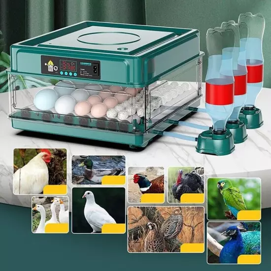 Electric 10/12/24/38 Egg Incubator Auto Turning Egg Bird Poultry Eggs Incubation